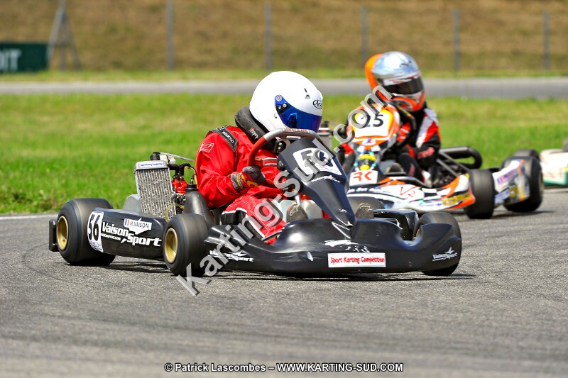 DSC_ (249).jpg